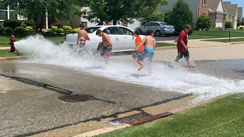 summer fun-carlino